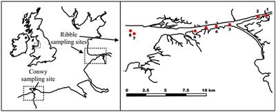 Evaluation of Molecular Methods for the Detection and Quantification of Pathogen-Derived Nucleic Acids in Sediment